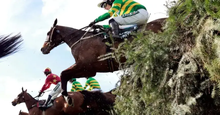 I Am Maximus’ Grand National Win Hits British Bookmakers Hard
