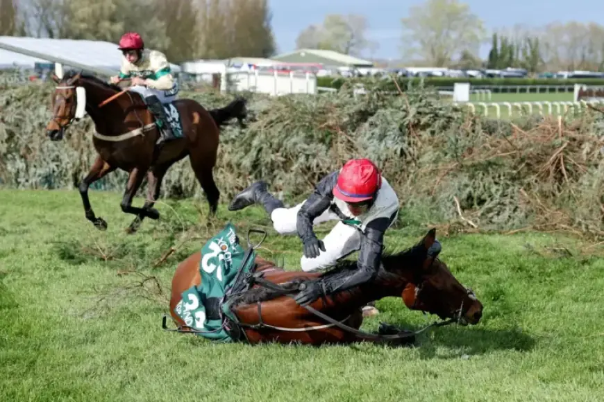 Aintree Race Leads to Immediate Ban for Grand National Jockey