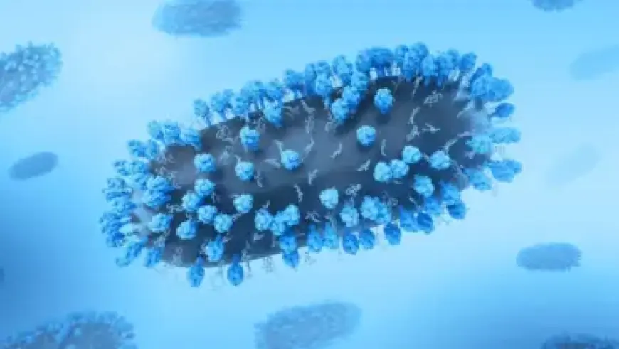 Valkyrae Addresses Deleted Post in Sykkuno Scandal Response