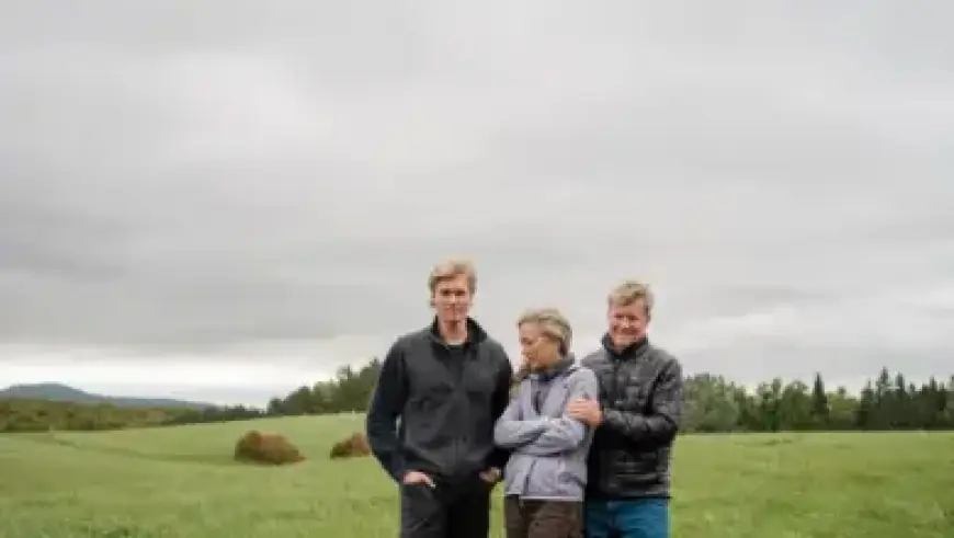 California DMV Services Disrupted by Brief Computer Network Outage