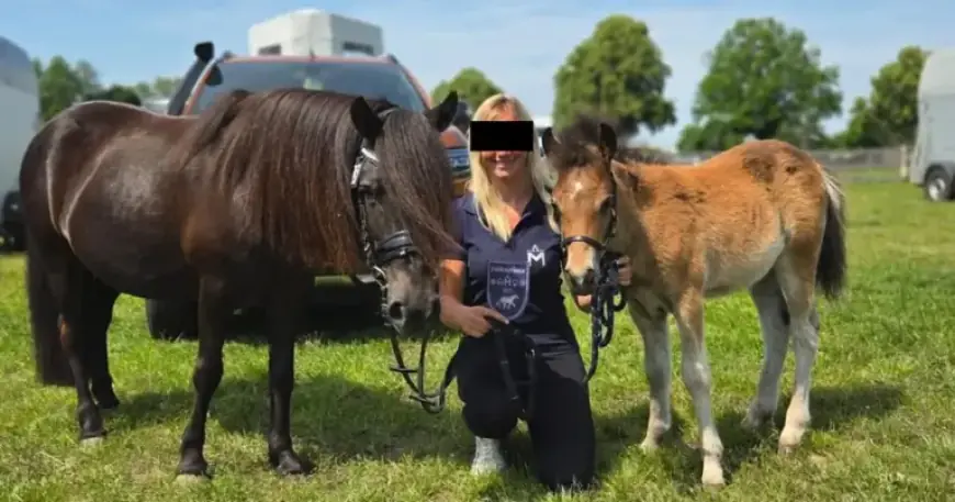 Murder Trial for Fabian (8) from Güstrow Starts April 28, 2026