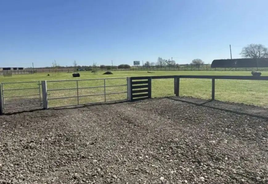 New Dog Field Opens for Off-Leash Adventures Safely