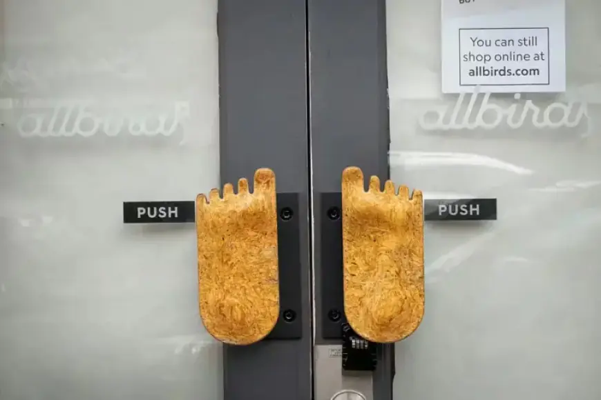 Allbirds Transforms from Footwear to AI Infrastructure Pioneer