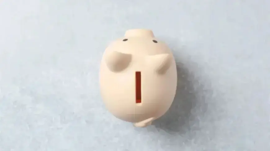 Cabinet Office Clarifies 2021 Outsourcing Amid 2025 Contract Implications