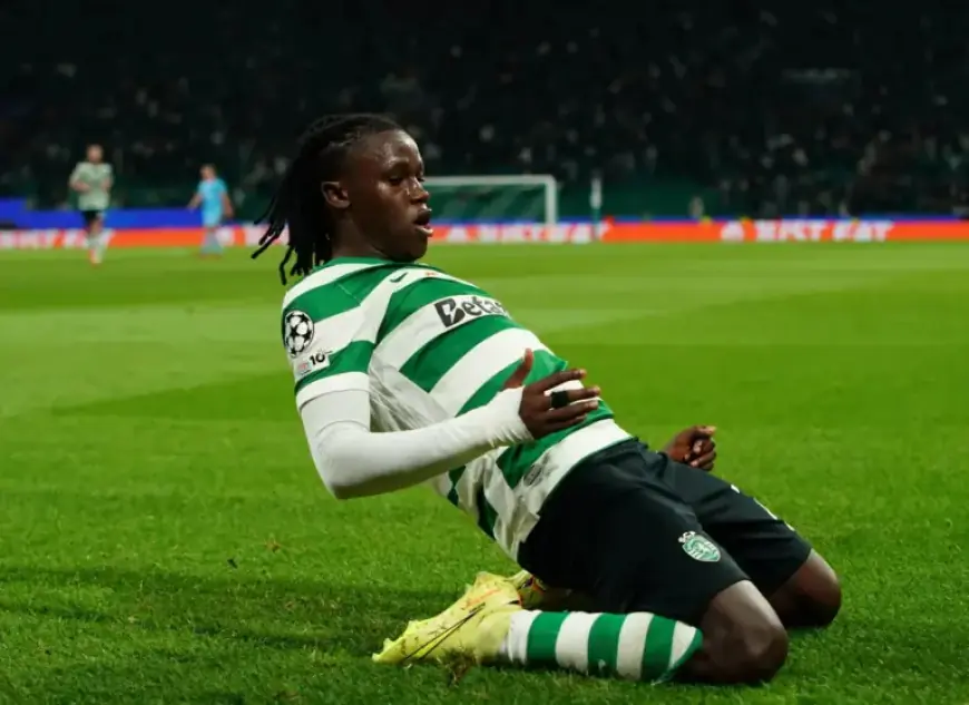 Chelsea to Redefine Geovany Quenda’s Role upon Arrival