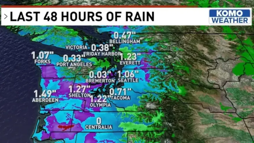 Thunderstorms Expected Amid Persistent Rain Showers