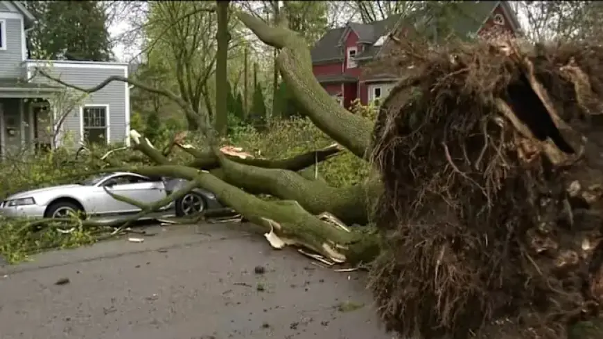 Overnight Storms Spawn Two EF-1 Tornadoes in Southeast Michigan