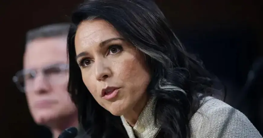 Gabbard Refers Whistleblower and Watchdog to DOJ Over Trump Impeachment