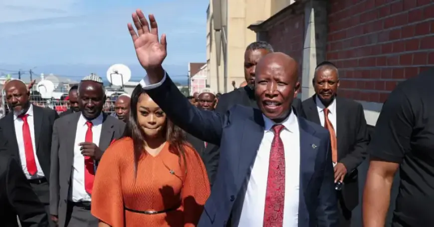 Prosecutors Demand 15-Year Sentence for South African Politician Malema