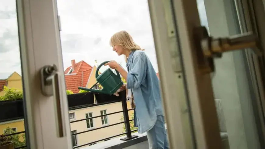 Berlin & Brandenburg Weather: Warm Start, Cooler Finish