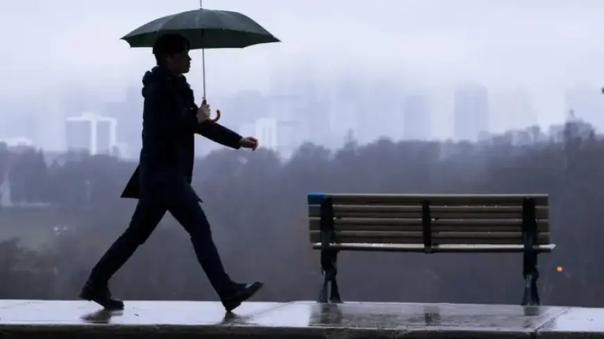 Toronto and GTA Brace for Special Weather Alert with 20mm Rainfall