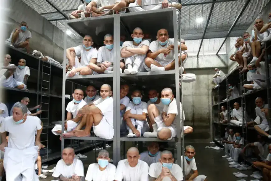 El Salvador Justice System Faces Resignation Shake-up