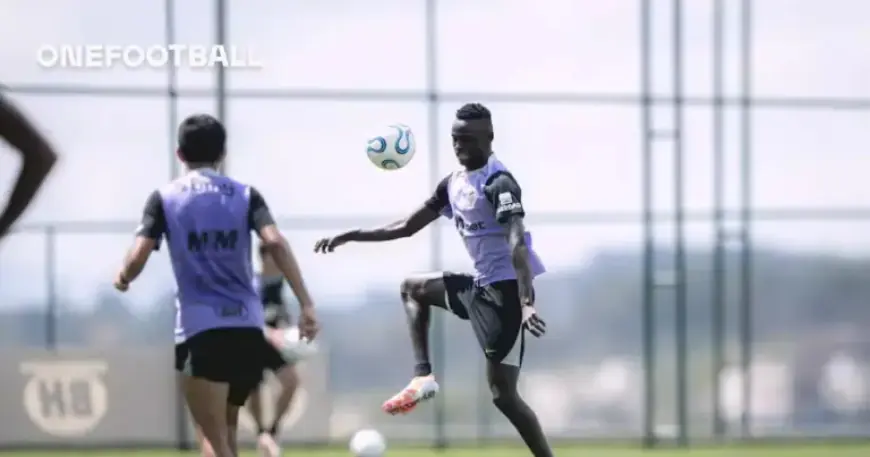 Galo’s Training Insights: April 15