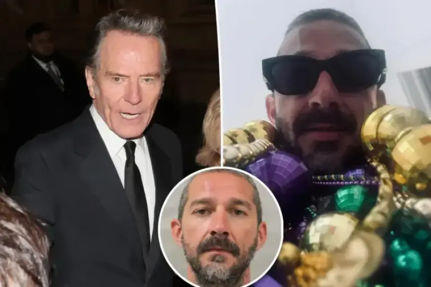 Bryan Cranston Criticizes Shia LaBeouf in Cutting Remark