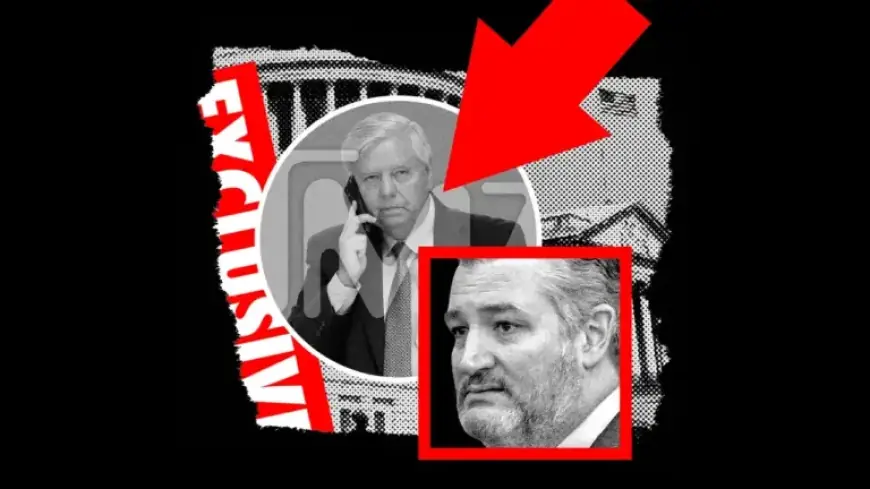 TMZ Targets Politicians with Unforgiving Coverage