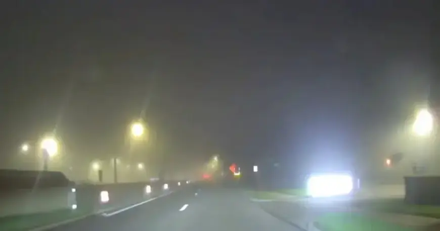 Dense Fog to Precede Plummeting Weekend Temperatures in Metro Detroit