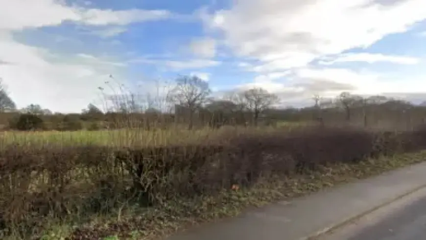 Tottenham Eyes Marcos Senesi Transfer for Premier League Stay – The Athletic