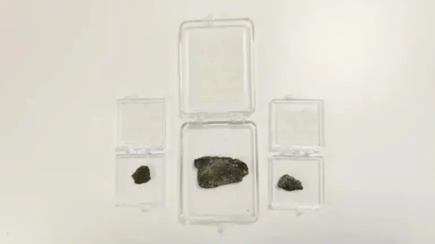 Martian Meteorites Reveal Traces of Ballpoint Pen Ink, Scientists Discover