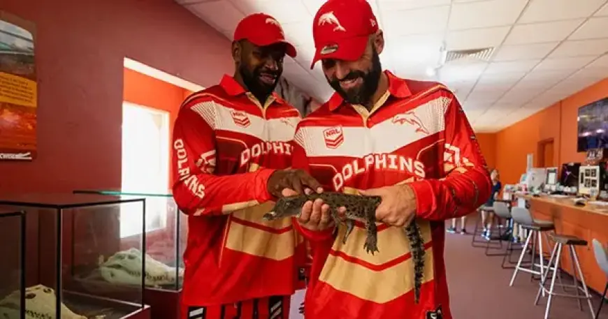 Discover Top Tips for Dolphin Watching in Darwin’s Top End