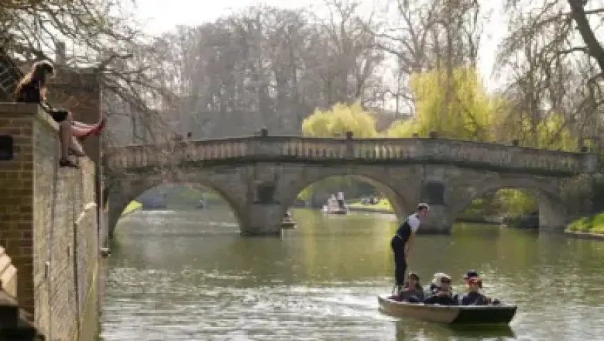 Downdetector Reports Thousands of Users Affected by X Outage Friday