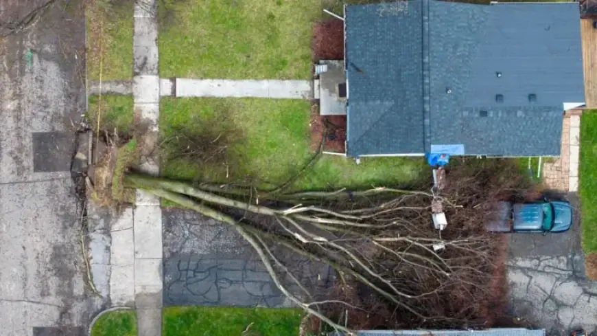 Tornado Warning vs. Watch: Key Differences Explained