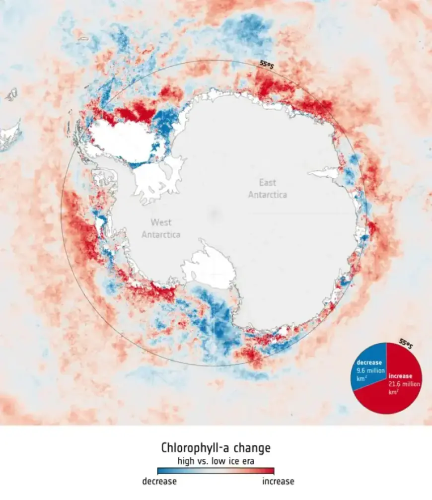 Chlorophyll-a Shifts Amid Transition from High Sea Ice to Low-Ice Era