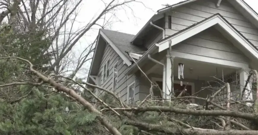 Ann Arbor Teams Evaluate Storm Damage for Disaster Relief Efforts