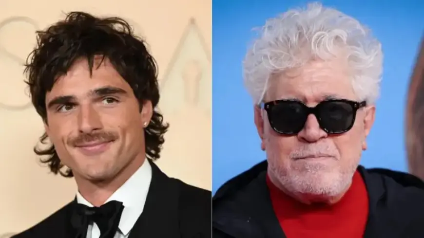 Pedro Almodóvar Sparks Buzz with Remarks on Jacob Elordi in Hollywood Press