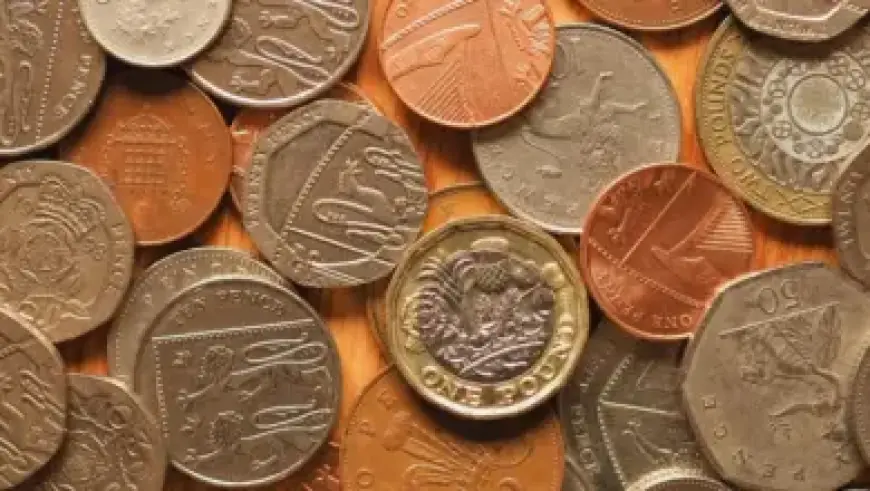 Top Elites Gather: A Who’s Who Guide