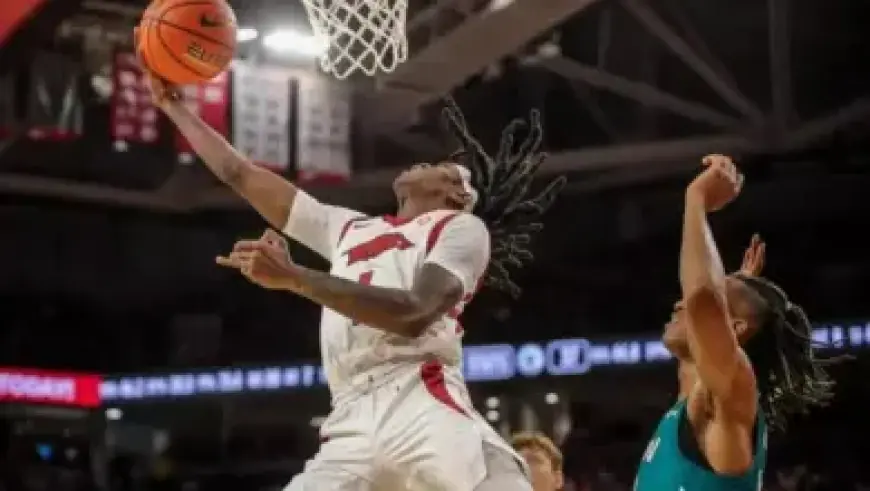 Jan Blachowicz Withdraws from UFC 328 Due to Meniscus Tear