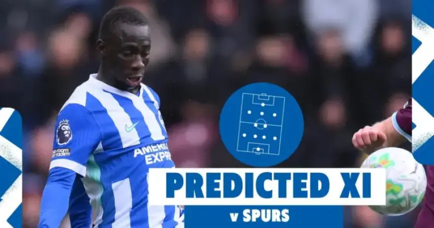 Hurzeler Announces Major Selection Choice for Spurs Match