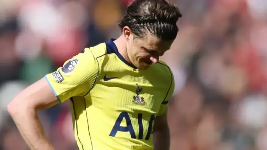 Tottenham Faces Relegation: Current Premier League Standings and Full Table Analysis