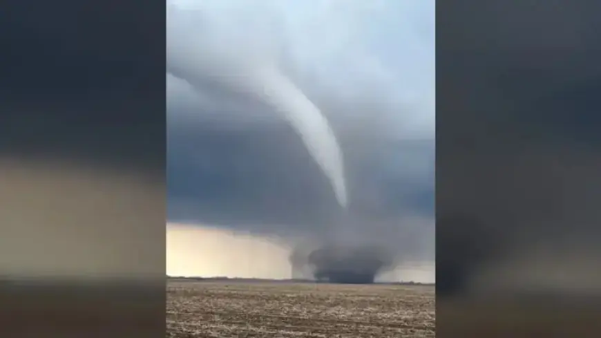 Tornado Outbreak Hits Rochester: No Injuries, Dozens of Homes Damaged