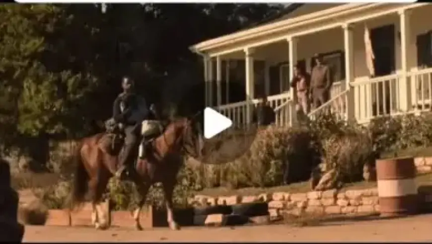 Upcoming Releases: Hulu and Disney+ Highlights for May 2026