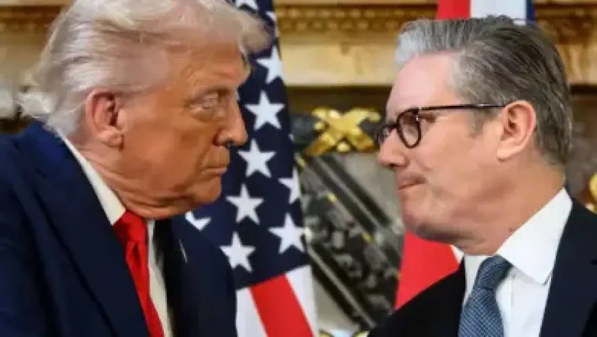 Ben Whittaker Boxing Preview: Top DAZN Betting Tips and Predictions