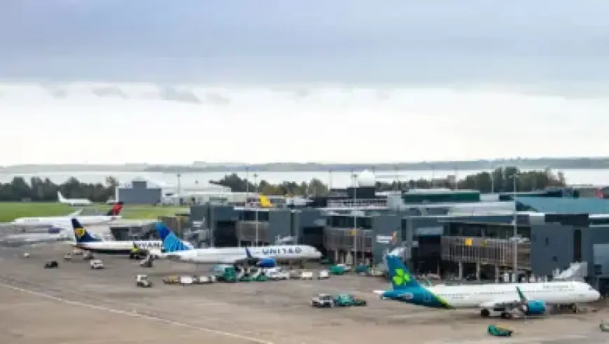 Claudia Winkleman’s Show Shines Introducing Dan Levy to Mr. Blobby