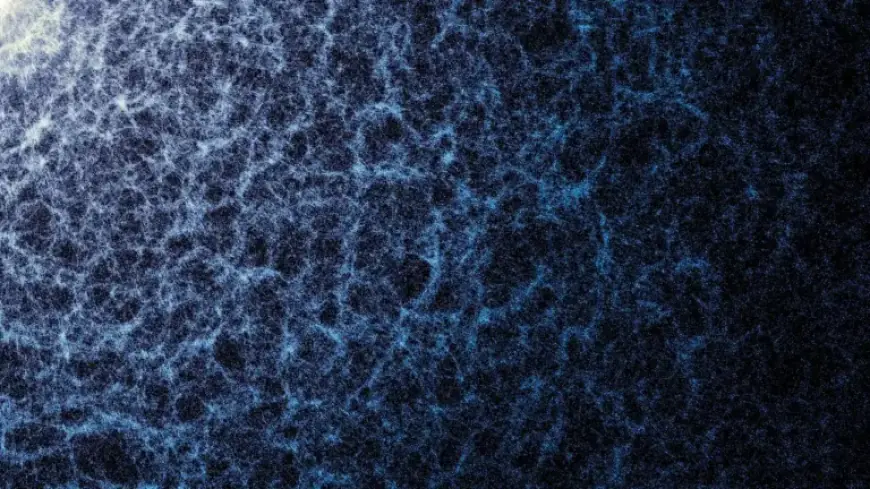 3D Universe Map Reveals 47 Million Galaxies from Milky Way to Cosmic Noon