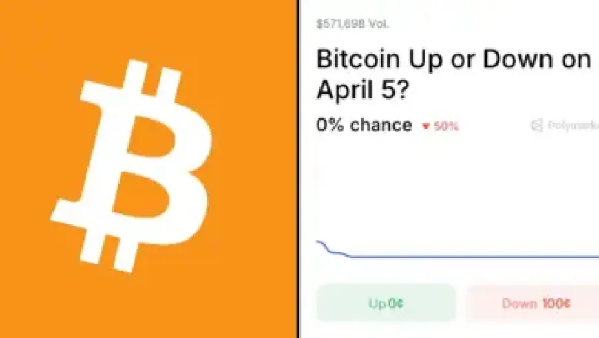 Top 14 Sustainable Home Brands Worth Adding to Your Cart