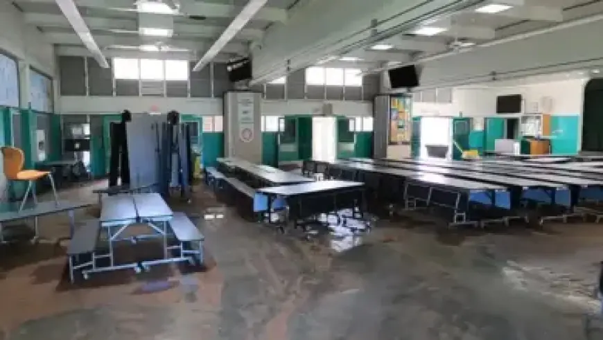 Alaina Scott, Eminem’s Daughter, Announces Birth of First Baby and Name Inspiration