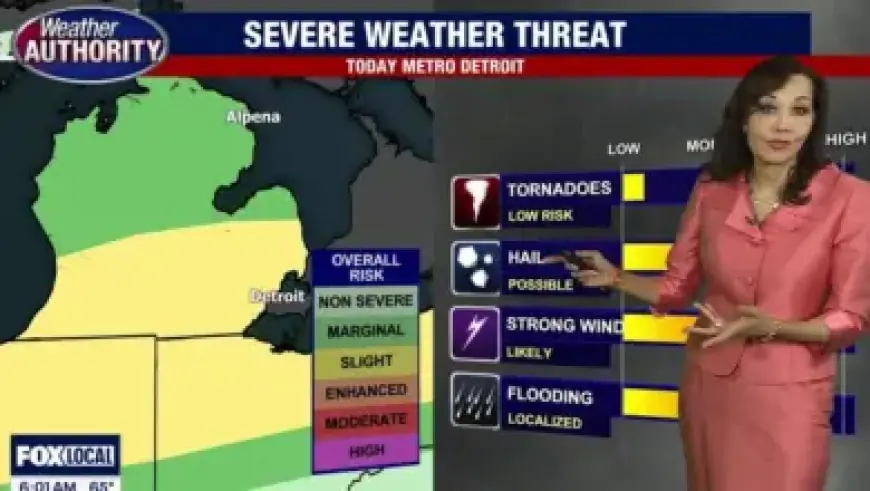 Lewandowski Receives Clear Contract Offer from Barcelona