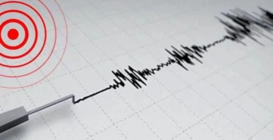 7.4 Magnitude Earthquake Hits Northeast Japan, Tsunami Warning Issued