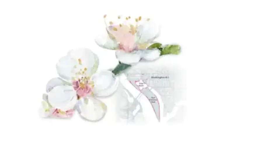 Is SoundHound AI the Top AI Stock for Maximum Growth?