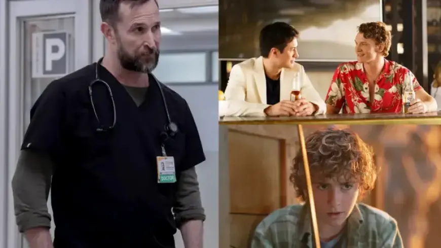 Noah Wyle, Chappell Roan, and the Surge of Toxic Fandoms