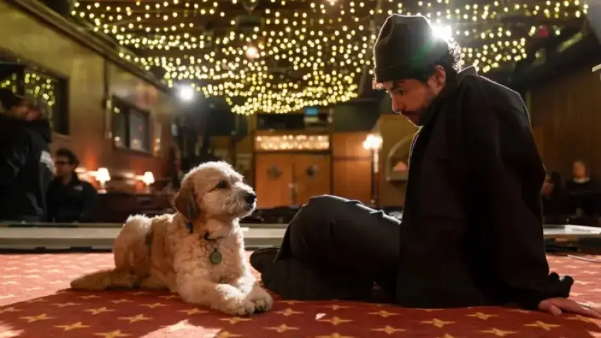 Ramy Youssef Creates Captivating ‘In Love’ Special for HBO