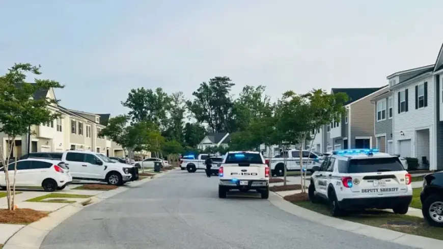 Suspect Surrenders After Barricading in Violent Domestic Disturbance: DCSO
