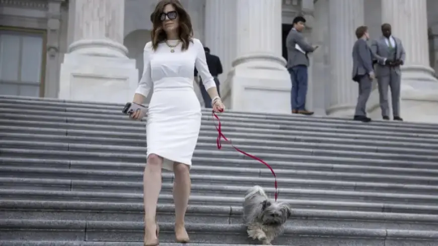 Cory Mills Considers Expulsion Resolution Against Nancy Mace