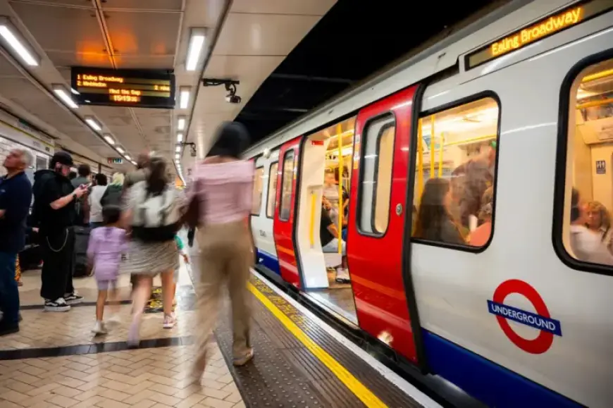 Emergency Response to Track Incident Disrupts Tube Service – Live Updates