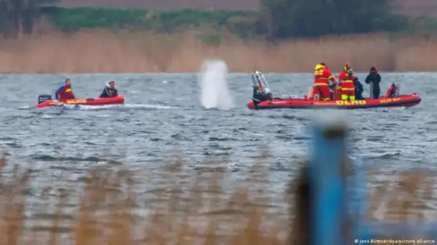 Stranded Whale Timmy Resumes Journey in Germany Waters