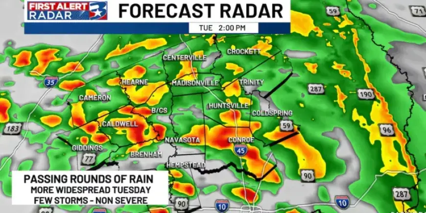 Midweek Forecast: Expect Persistent Rain and Overcast Skies