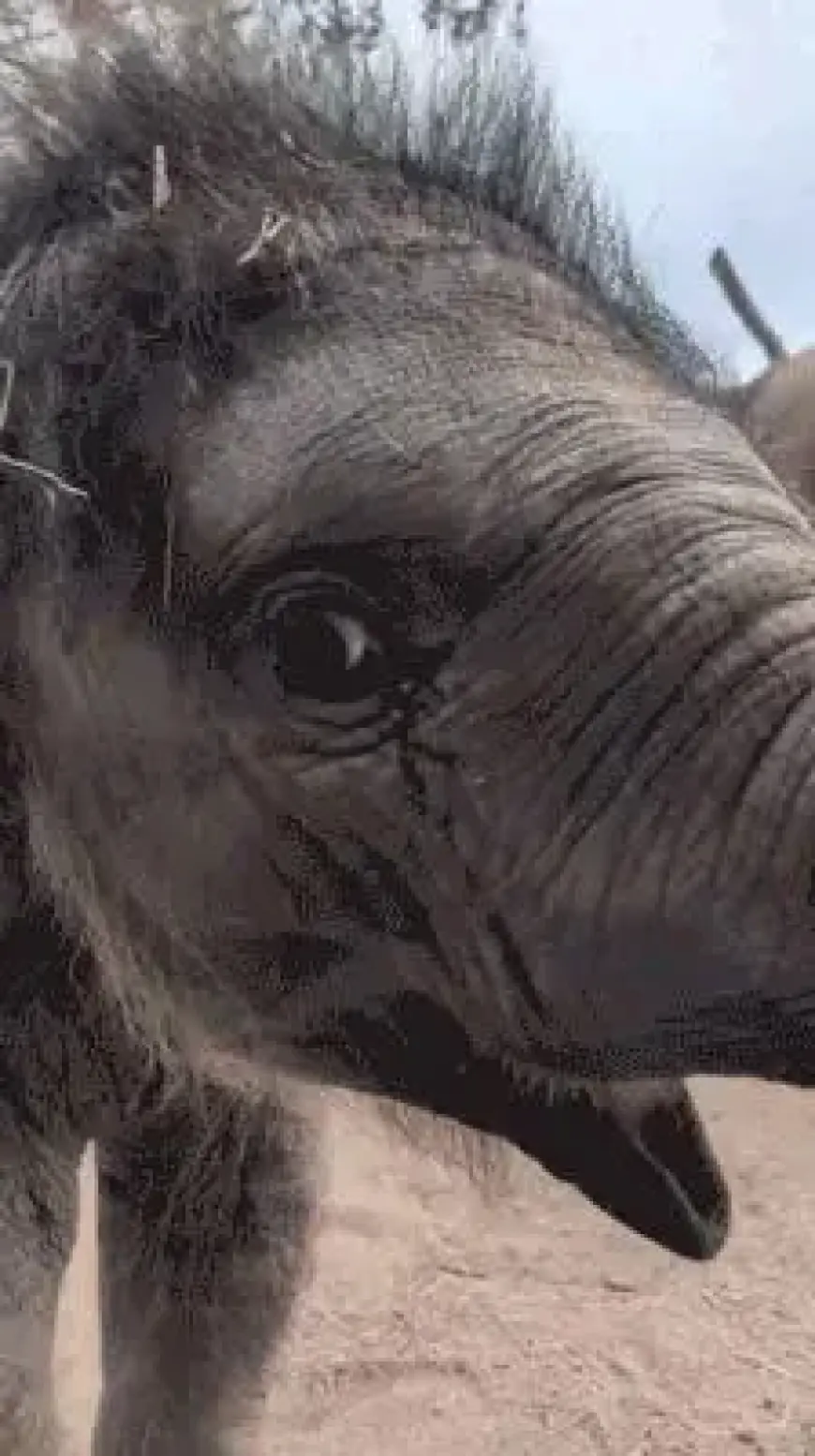 Alan Dershowitz Responds to Provocation: Tuesday, April 21, 2026